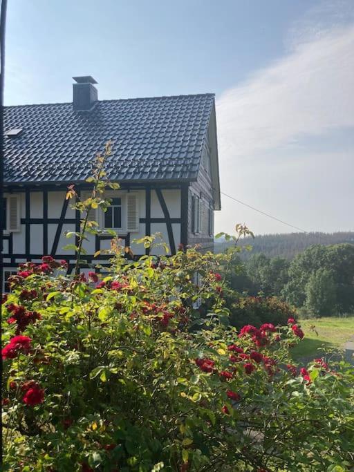 Ferienwohnung Am Alten Backhaus Bad Berleburg Exterior foto